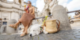What Are the Top Smart Pet Gadgets for Traveling With Pets?