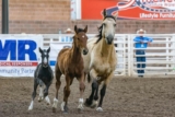 Exploring the Best Saddle Pads for Performance Horses
